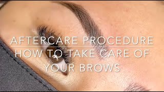 Microblading Aftercare  How to take care of your Microbladed Brows [upl. by Aimet]