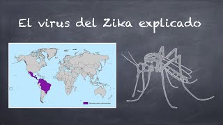 EL VIRUS DEL ZIKA EXPLICADO [upl. by Reisinger]