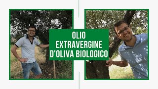 Come si conserva lolio extravergine di oliva [upl. by Hannah]