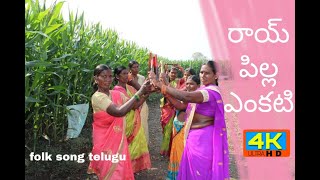 Raye pilla yenkati  Tellugu folk song 2021  Studio Q  Singer Rajeshwari [upl. by Urana]