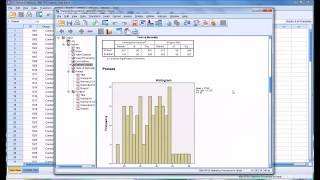 Conducting a KolmogorovSmirnov Normality Test KS Test in SPSS [upl. by Ravid773]