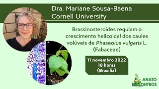 Brassinosteroides regulam o crescimento helicoidal dos caules volúveis de Phaseolus vulgaris L [upl. by Radmen]