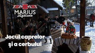 Marius Zgâianu  Jocul caprelor şi a cerbului [upl. by Lilhak396]