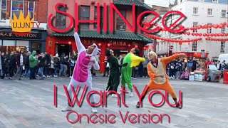 ONESIE VERSION KPOP IN PUBLIC SHINee 샤이니  I Want You UJJN TV [upl. by Yluj]