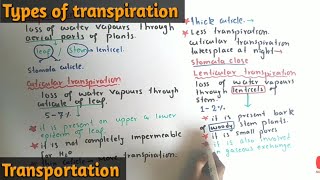 Transpiration And Its Types  Stomatal Lenticular And Cuticular Transpiration  Class 11 [upl. by Eikcim]