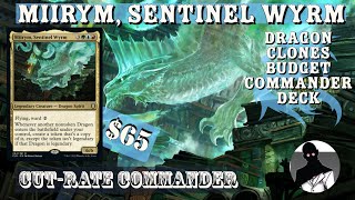 Miirym Sentinel Wyrm  Dragon Clones  Commander  EDH  MTG  Budget  CutRate Commander [upl. by Anehsat]