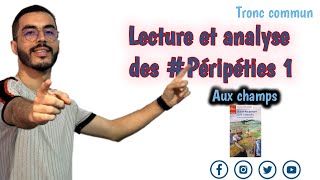 Tronc commun  Lecture et analyse des quot Péripéties 1quot de la nouvelle Aux champs Questionsréponses [upl. by Carmon]