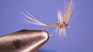 Tying the Oddball Quill Gordon with Johnny Utah [upl. by Gertruda]