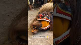 BARONGAN MELAHIRKAN ‼️😳 shorts barongan jaranan barong jathilan [upl. by Tedric308]