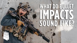 What do bullet impacts sound like Tons of different materials shot [upl. by Rexfourd599]