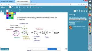 La reacción química y su representación simbólica [upl. by Ewold30]