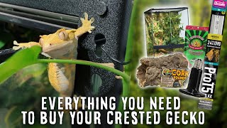 Beginners Guide To Crested Gecko Supplies  Tank Heater Light Substrate amp More [upl. by Kirad]