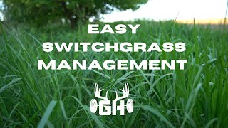 Whitetail Strategy  Switchgrass Management  GUNNAR HANSON [upl. by Sivahc]