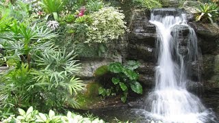 Cheap Backyard Landscaping Ideas  Landscaping Ideas For Small Yards [upl. by Nylecaj840]