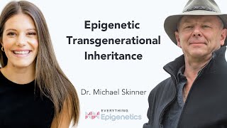 Epigenetic Transgenerational Inheritance with Dr Michael Skinner [upl. by Aisayt910]