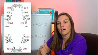 Triadan Numbering System Explained [upl. by Pratt]