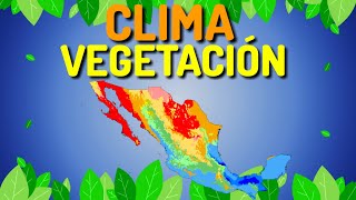 Regiones de CLIMAS y VEGETACIÓN de MÉXICO [upl. by Leddy915]