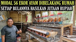 KEREN POLISI INI SUKSES TERNAK AYAM KAMPUNG PETELUR SKALA RUMAHAN💯 [upl. by Ymrej787]