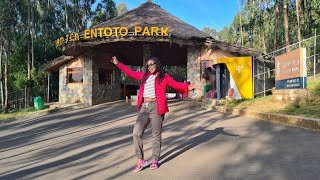 Ethiopia Travel Vlog  Entoto Park Full Tour [upl. by Soalokcin]