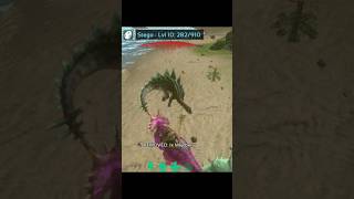 HIGH MELEE DAMAGE TRIKE  TRICERATOPS   ARK MOBILE  ARK MOBILE SAVE DATA [upl. by Assilim]