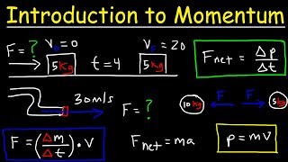 Introduction to Momentum Force Newtons Second Law Conservation of Linear Momentum Physics [upl. by Jacinto]