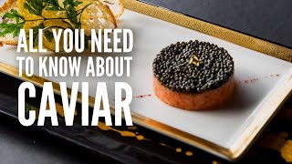 What is Caviar Here’s Everything You Need to Know [upl. by Leroj]