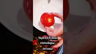 Квашеные помидоры🍅без уксуса [upl. by Ryle901]