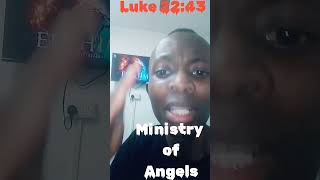 Ministration of Angels [upl. by Dareece930]