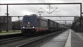 Hectorrail 241005 med containertrailertog [upl. by Eeluj64]