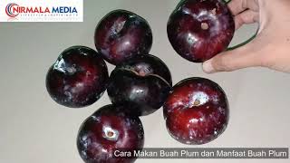 Cara Makan Buah Plum  Gak Nyangka Ternyata Rasanya Buah Plum yang Katanya Ajaib itu Kayak Gini [upl. by Lymann579]