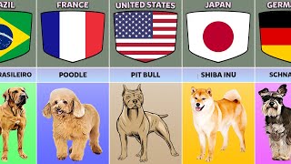 Dog Breeds From Different Countries [upl. by Nesiaj132]