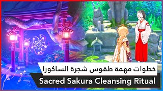 Sacred Sakura Cleansing Ritual Genshin Impact  خطوات مهمة طقوس الساكورا قنشن امباكت [upl. by Airtap69]