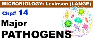 Chp14 LevinsonLANGE Micro  Overview of Major Pathogens and Anaerobic Bacteria  Dr Asif Lectures [upl. by Nylatsyrk]