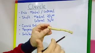 CLAVICLE GENERAL FEATURES AND ATTACHMENTS BY DR MITESH DAVE [upl. by Arutak]