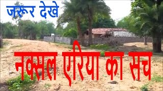 Bastar Chattisgarh बस्तर छत्तीसगढ़ की समस्या ReportNaxalite area Video by the thaat [upl. by Yi700]