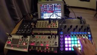 Volca Circuit Sunrizer Poison 202 House Classics Session 2  808 State Pacific State [upl. by Pepita]