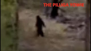 The Pilliga Yowie  Baan Baa Water Supply [upl. by Bluh]