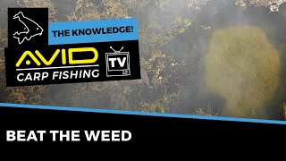 HOW TO FISH IN WEED  Carp Fishing The Knowledge [upl. by Ocker]