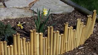 bamboo fencing ideas  Fence Ideas And Designs [upl. by Joselow]