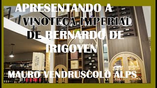 APRESENTANDO A VINOTECA IMPERIAL DE BERNARDO DE IRIGOYEN NA ARGENTINA [upl. by Pawsner]