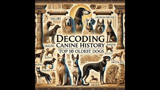 Decoding Canine History Top 10 Oldest Dogs [upl. by Ilanos]