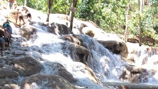 Dunns River Falls liveenjoy nature [upl. by Lyns]