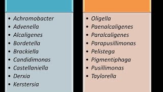 Dominio Bacteria Phylum Proteobacteria 13  Clase Betaproteobacteria  Familia Alcaligenaceae [upl. by Vacuva527]