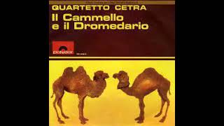 Quartetto Cetra  Il cammello e il dromedario 1964 [upl. by Dahle]