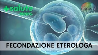 La fecondazione eterologa Il Prof Ermanno Greco risponde a tutto [upl. by Blane]