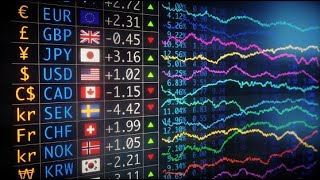 Exchange Rates and Trade [upl. by Uird856]