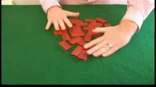 Dominoes for Beginners  How to Shuffle Dominoes [upl. by Ahseik670]