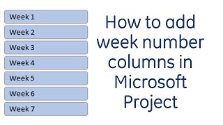 How to add week number columns in Microsoft Project [upl. by Borroff]