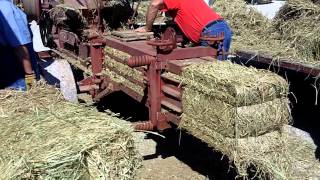 Baling hay the old fashioned way [upl. by Watson381]