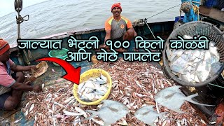 जाल्यात भेटली १०० किलो आणि १५ किलो पापलेट 🐟🦐😱fishing fishingshorts paplet fishingvideo bankot [upl. by Bobinette]